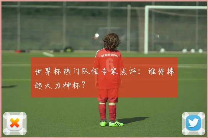 世界杯热门队伍专家点评:谁将捧起大力神杯?